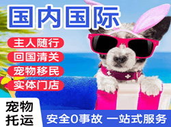二连浩特赛乌素航空货运国际宠物托运 【国